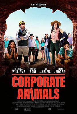 国产一区二区在线观看免费