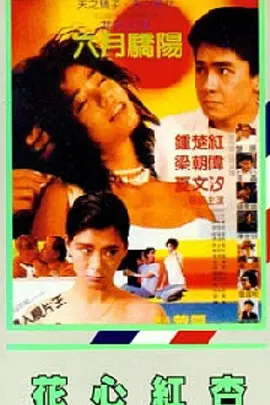 chinese国模videos