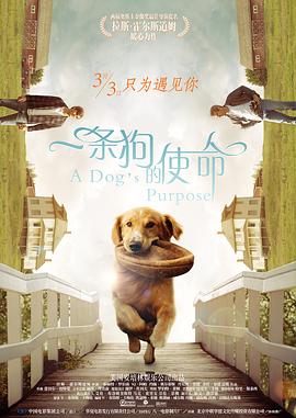 相泽南磁力链接