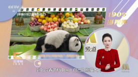 sp打屁股调教类电影